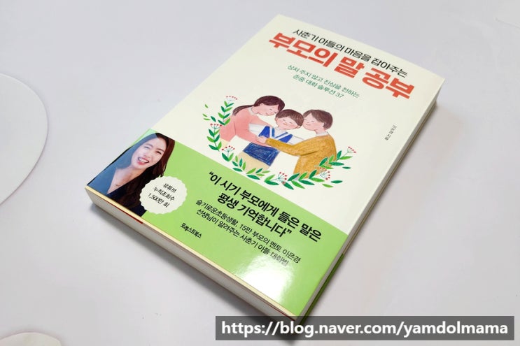  존중 대화 솔루션 사춘기 아들의 마음을 잡아주는, 부모의 말 공부