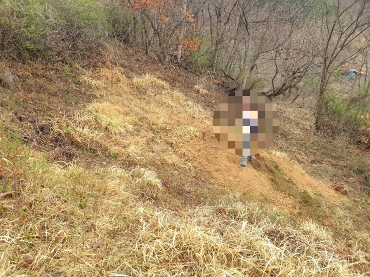  2023년 김천고인돌장의사 #김천장의사 #김천이장 #김천개장 #김천화장 #김천가족묘 #김천납골당 #김천종중묘 #김천비석 김천수목장 #이하늘장사