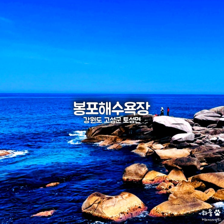  강원도 고성 봉포해수욕장, 선상낚시와 횟집, 피서까지 한번에?