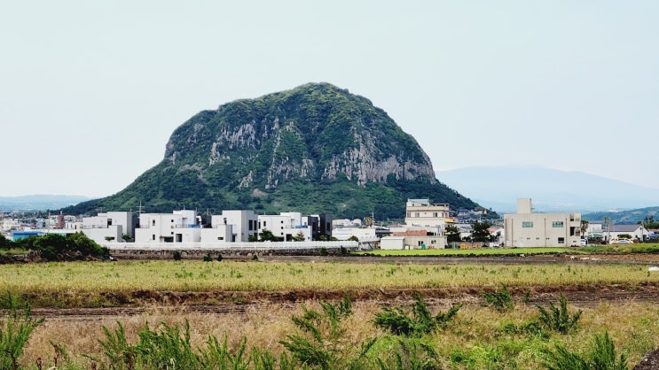  #산방산뷰 #사계리단독주택#제주단독주택