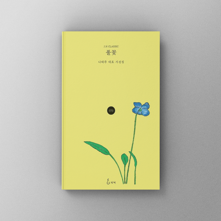  [책,도서리뷰] 일상에서 꽃 피우는 시, 『풀꽃』: 나태주 시인의 사랑과 위로