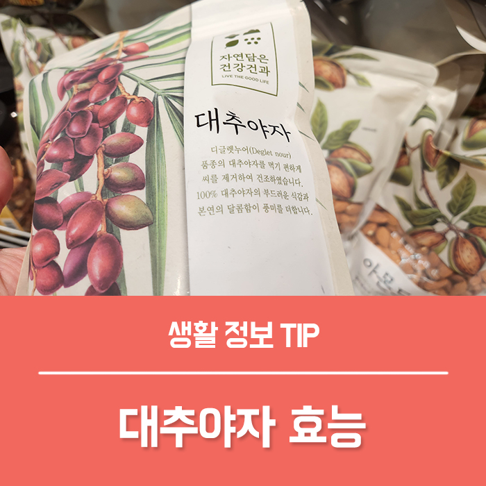  대추야자 효능 BEST5, 칼로리 대추야자 열매 부작용 총정리!