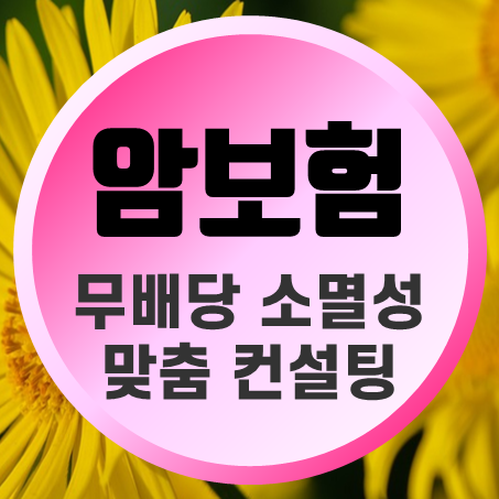  소멸성암보험 비용 부담을 낮추는 비갱신형 무배당암보험 비교해 보세요.