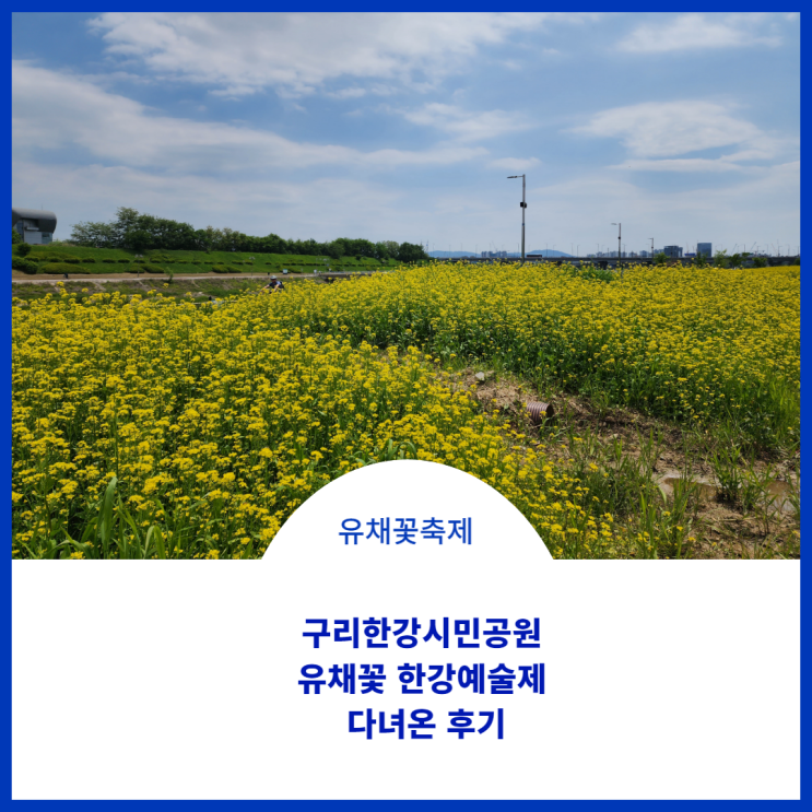 구리한강시민공원 유채꽃 한강예술제 다녀온 후기