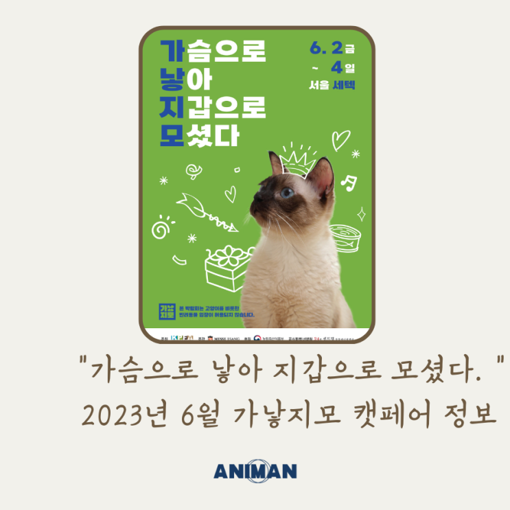 2023년 6월 서울 가낳지모 캣페어 정보 / 서울 고양이 박람회