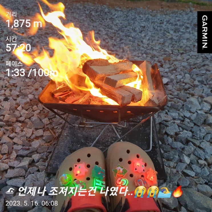 [수영일기] 5월 16일 접영으로 조져졌다..