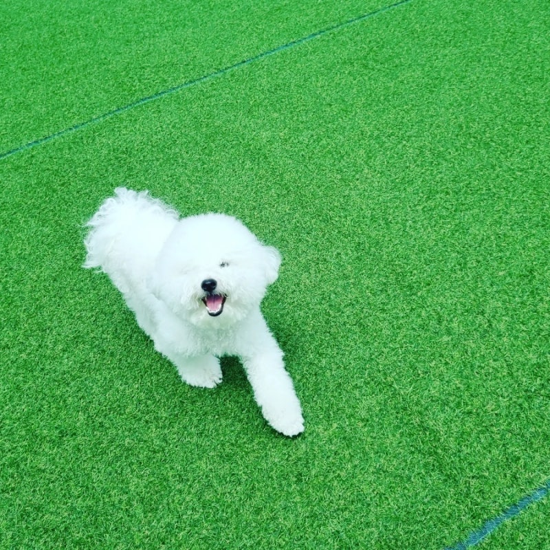 사진 2
