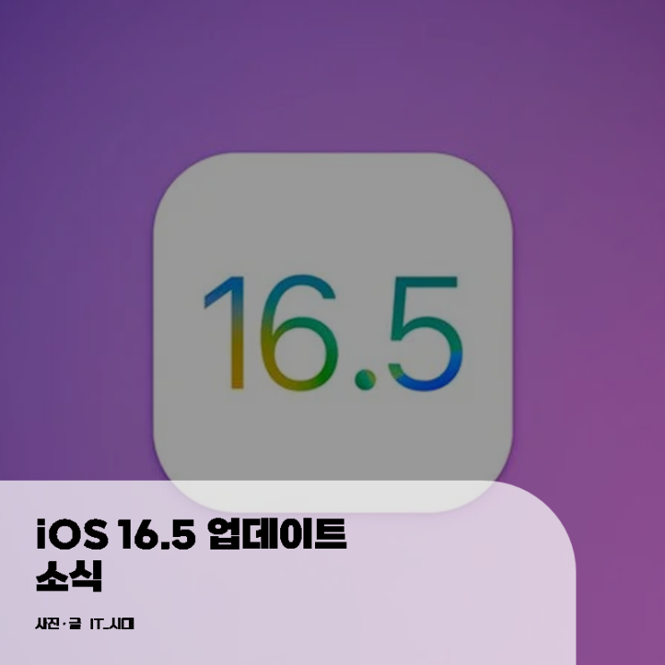  iOS 16.5 업데이트 소식