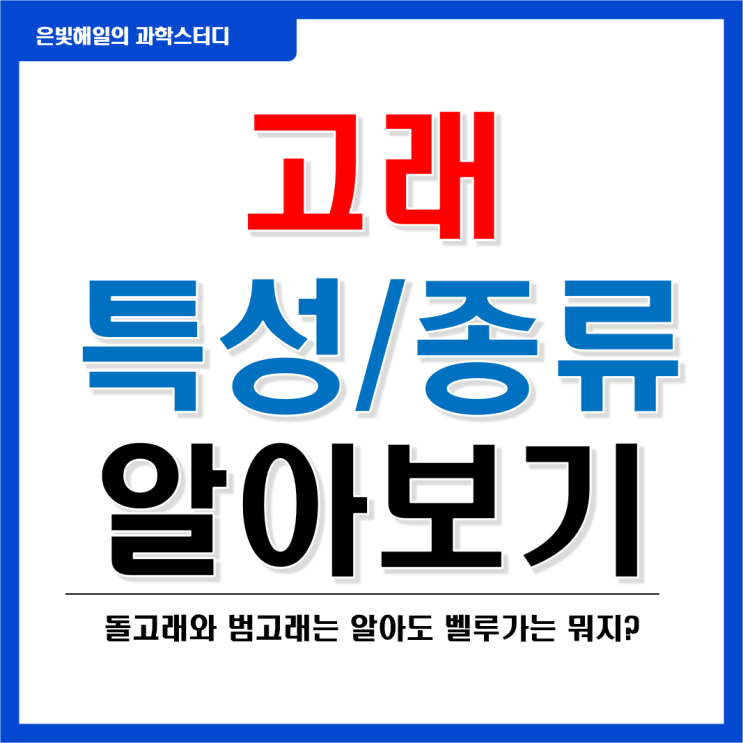  고래의 특성과 종류(ft. 지능)