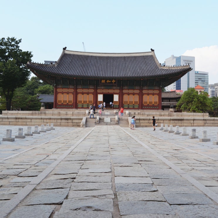 사동사/피동사, 사동표현/피동표현, 이중피동표현 뜻 예시 정리! 사동사/피동사, 사동표현/피동표현, 이중피동표현 뜻 예시 정리!