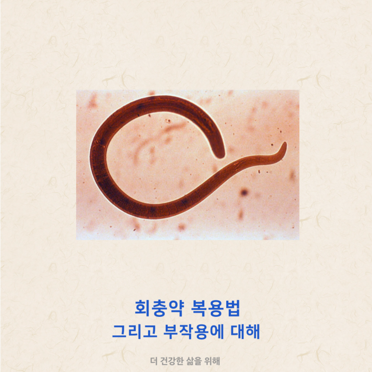 회충약 복용법 그리고 부작용에 대해
