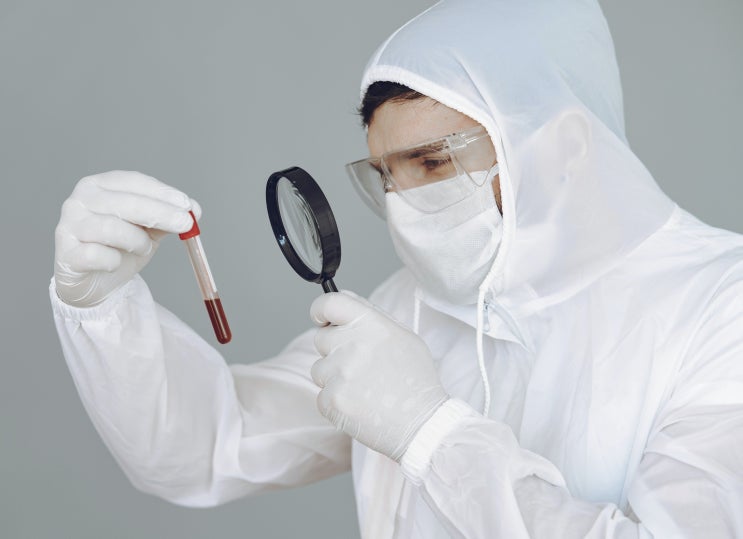  사과식초세안 족욕 신기한 효능 다양한 과일식 건강한 몸만들기 사과식초로 발씻기
