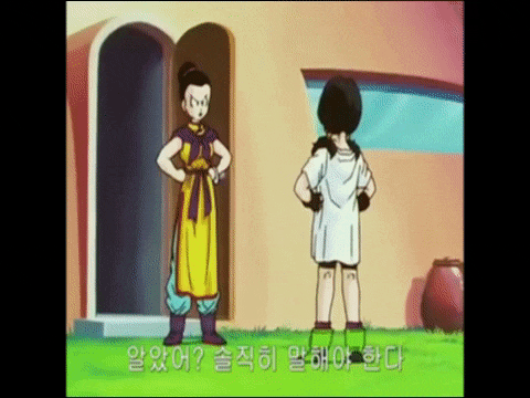  드래곤볼GT 스페셜 치치와 비델, 고부간의 갈등