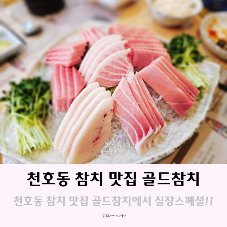 천호동 참치 맛집 골드참치에서 실장스페셜 먹은 후기 천호동 참치 맛집 골드참치에서 실장스페셜 먹은 후기