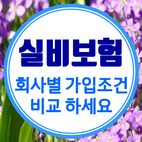  노인실비보험 가입조건 비교 부모님 실비보험 고령자를 위한 맞춤 견적