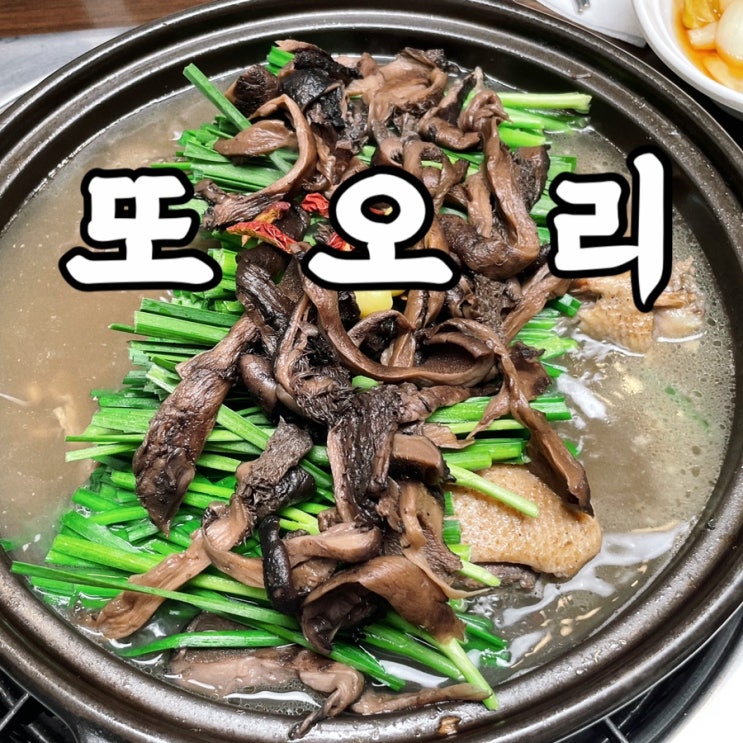  창경궁맛집 또오리 능이버섯오리백숙 혜화역맛집