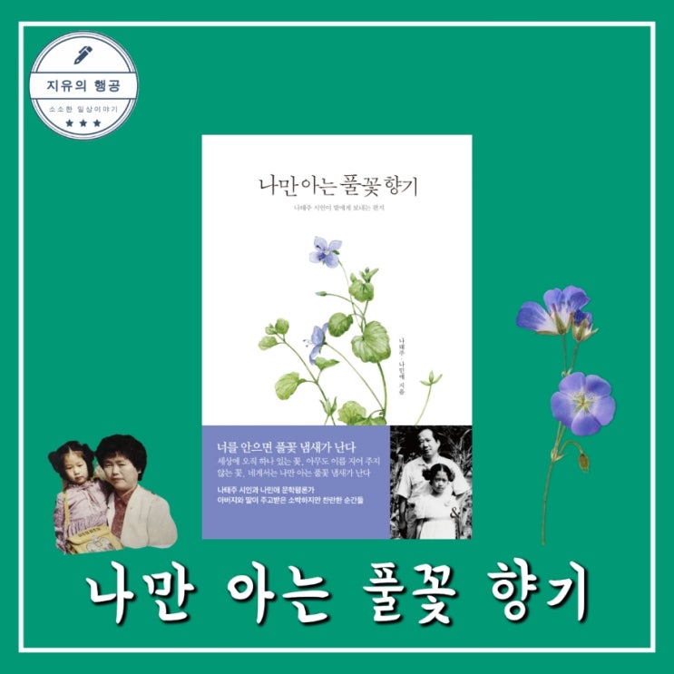  나만 아는 풀꽃 향기ㅣ딸에게 보내는 편지 나태주,나민애 (앤드) 추천 에세이
