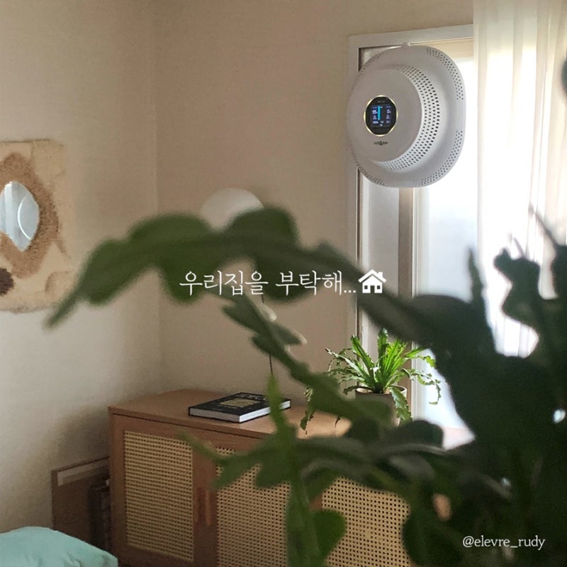 실내를 청정하게 순환하는 공기살균 99.9% 헤파람, 오브제 효과까지 톡톡!