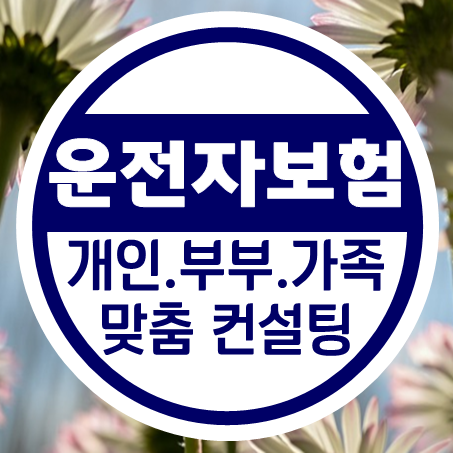  20대 운전자보험 가입 시 가족운전자보험 가격으로 비교 후 결정하세요.