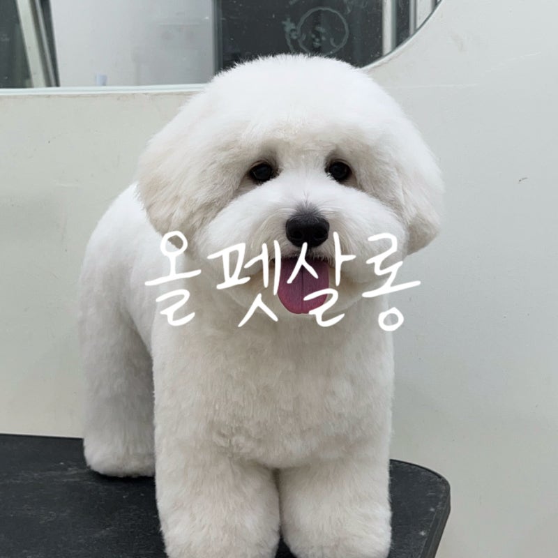 사진 3