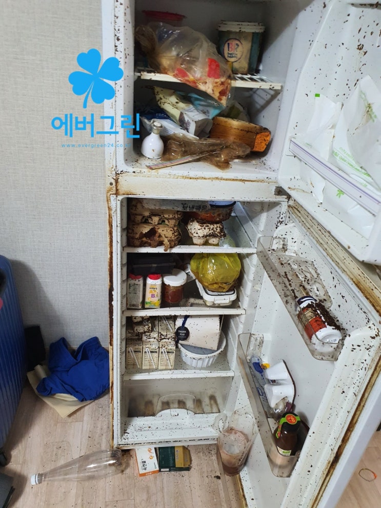 특수청소업 회기 동대문 이문동 방치된집청소 쓰레기집