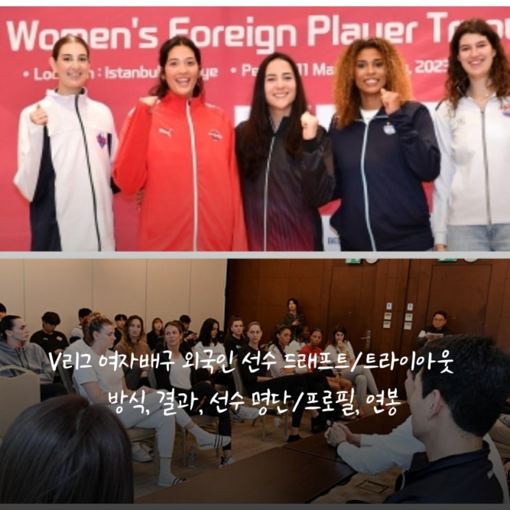 [포지션, 연봉, 키, 아베크롬비, 밀라나, 실바, <b>부키리치</b>], 프로배구