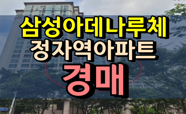 분당 정자동아파트 경매 삼성아데나루체 55평