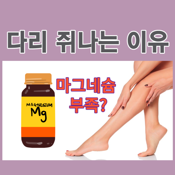 다리 쥐나는 이유 다리 쥐났을때 자다가 종아리 다리 쥐 마그네슘 다리 쥐나는 이유 다리 쥐났을때 자다가 종아리 다리 쥐 마그네슘