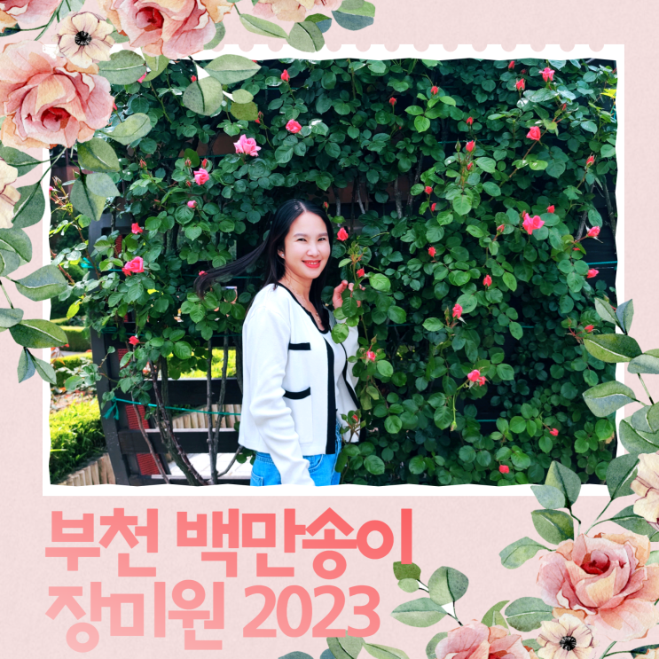부천 백만송이 장미원 2023 개화시기 장미축제 1주일 전 방문 부천 백만송이 장미원 2023 개화시기 장미축제 1주일 전 방문