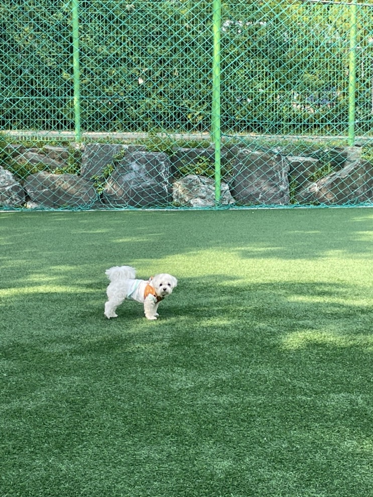 5월은 푸르구나