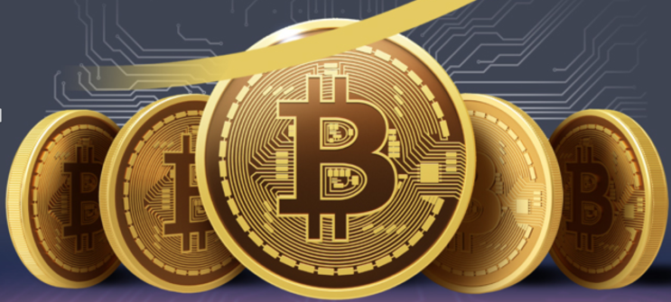  코인 시세확인 코인 시가총액 및 거래량 확인 방법 (코인 마켓 캡, 코인케코, CoinMarketCap, CoinGecko, 비트코인, 이더리움)
