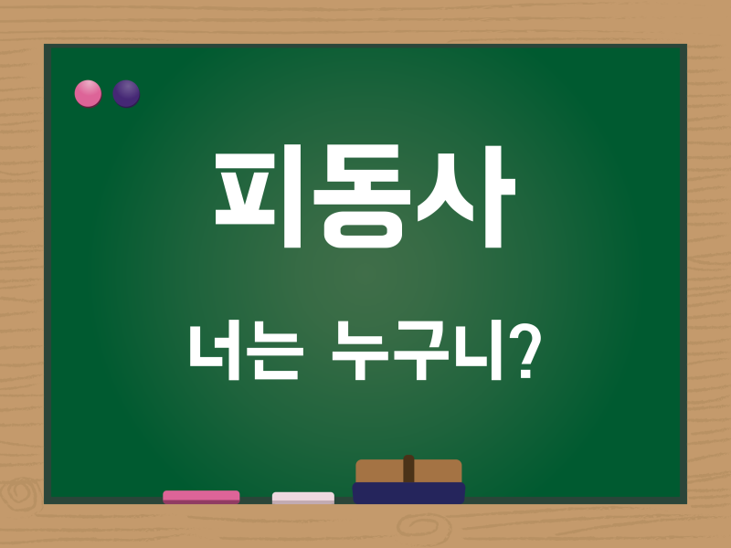 사동사/피동사, 사동표현/피동표현, 이중피동표현 뜻 예시 정리! : 네이버 블로그