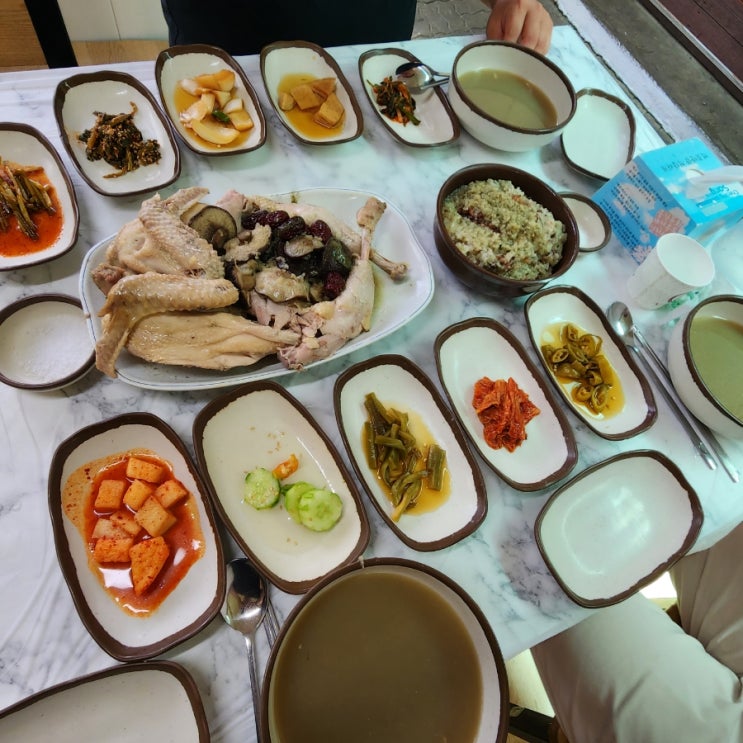  청송맛집 토종닭백숙 서울여관식당