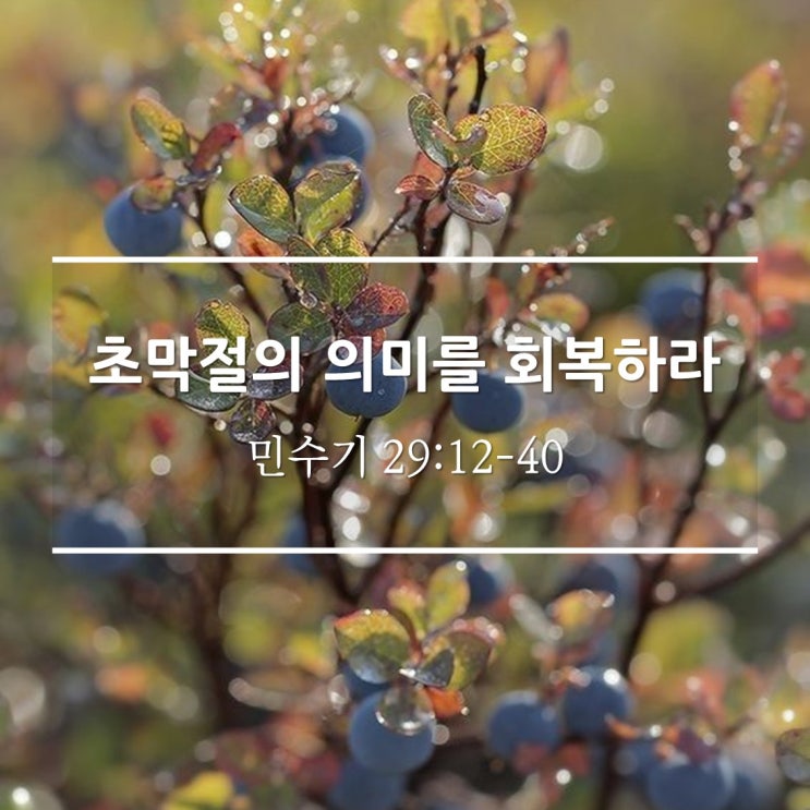  초막절의 의미를 회복하라 / 민 29:12-40