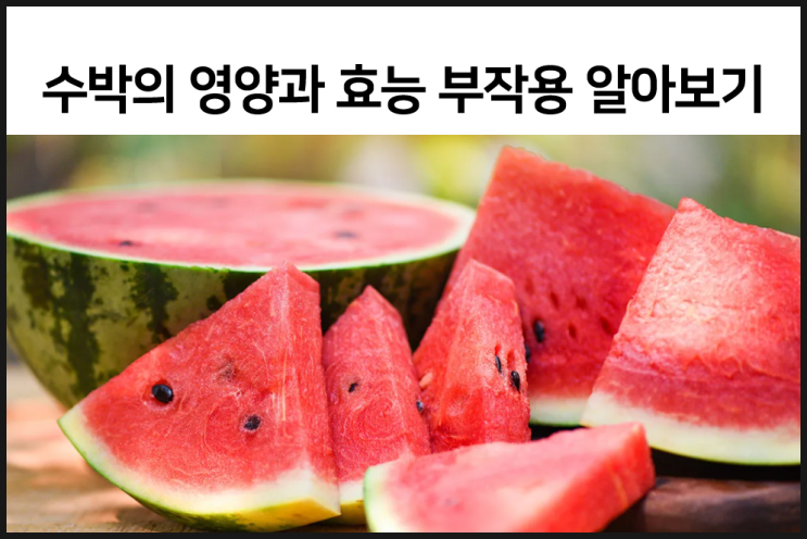  수박의 영양과 효능 부작용을 알아보자