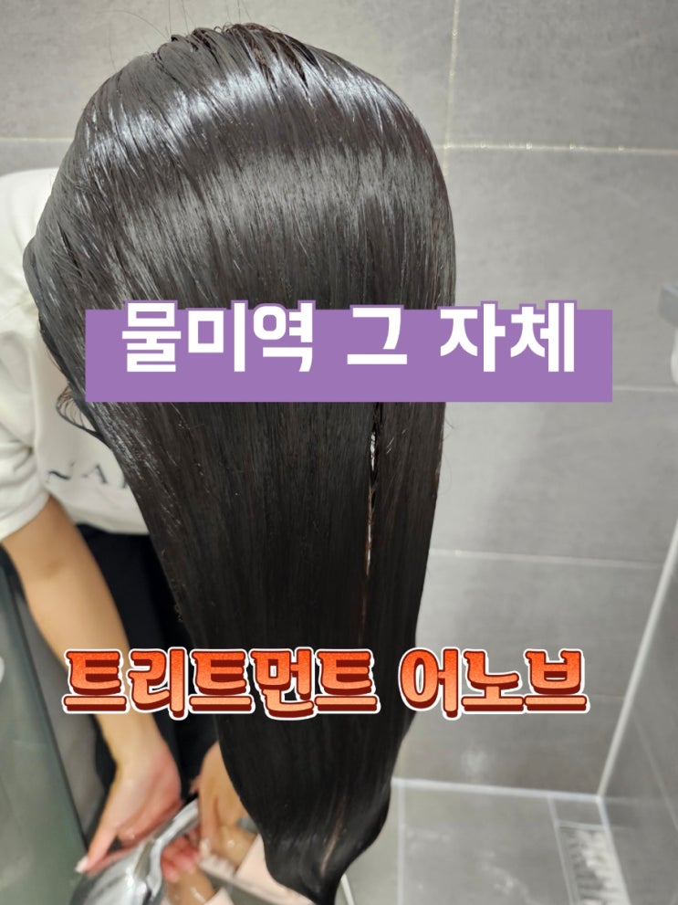  이게 물미역이지! 트리트먼트 어노브 찐후기(내돈내산)