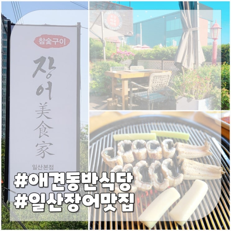 일산 장어맛집 애견동반식당 장어미식가