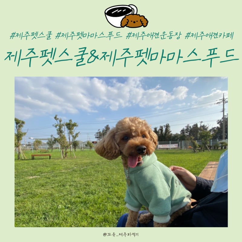 사진 4