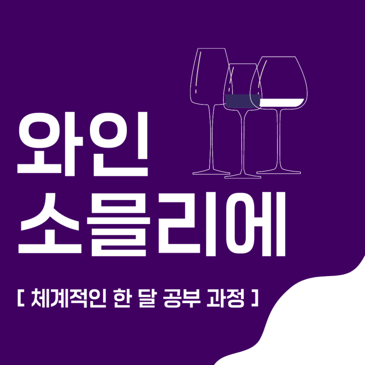 와인소믈리에 자격증 체계적인 한 달 공부 과정 와인소믈리에 자격증 체계적인 한 달 공부 과정