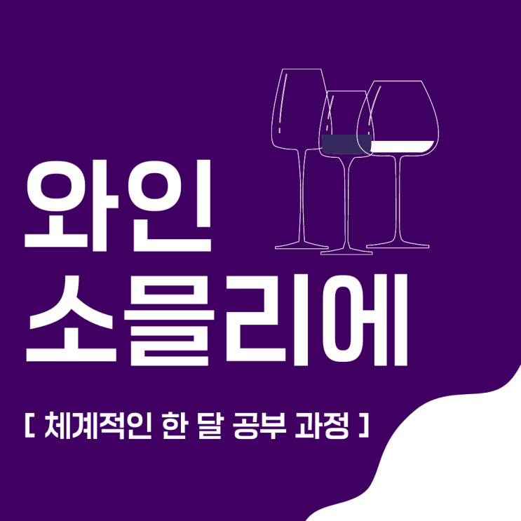 와인소믈리에 자격증 체계적인 한 달 공부 과정