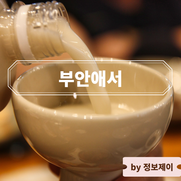  청계산 맛집 생방송투데이 리얼맛집 부안애서 맛있는 안주와 즐기는 막걸리