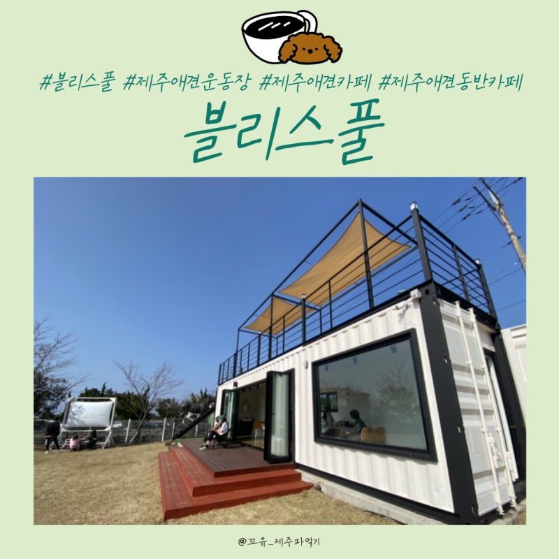 사진 3