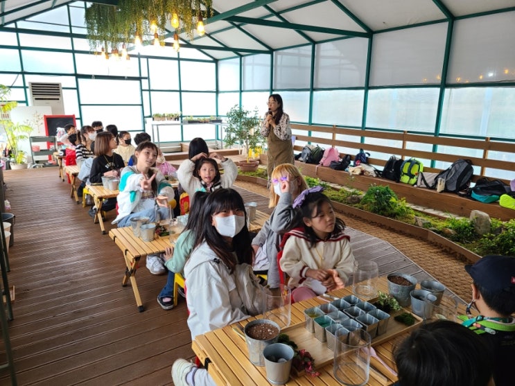  초등학교 토요행사[초토행]