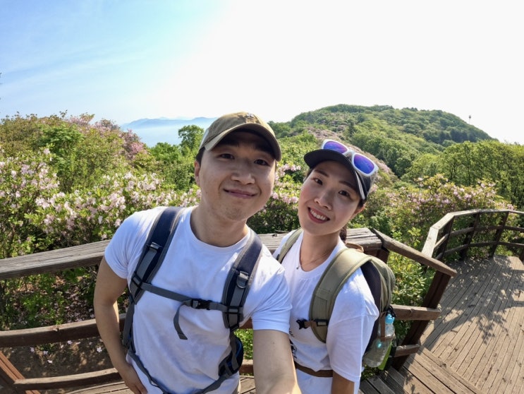  서리산 등산코스 ( 축령산자연휴양림 - 철쭉터널 - 철쭉동산 - 정상 - 임도삼거리 )