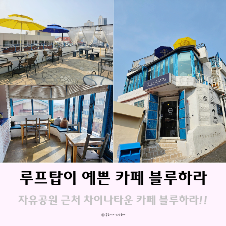 자유공원 근처 루프탑이 예쁜 인천 차이나타운 카페 블루하라 자유공원 근처 루프탑이 예쁜 인천 차이나타운 카페 블루하라