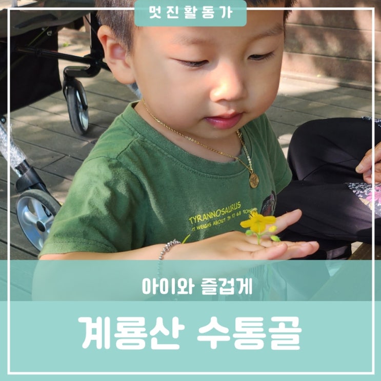 아이와 가볼만한 곳 대전 계룡산국립공원 수통골 체험학습관 미로공원 산책 도덕봉 등산코스 주차장 아이와 가볼만한 곳 대전 계룡산국립공원 수통골 체험학습관 미로공원 산책 도덕봉 등산코스 주차장