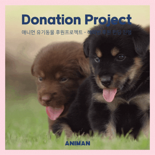  [애니먼] 해피빈 펀딩 모금 / 영자이모네 보호소 후원 현황