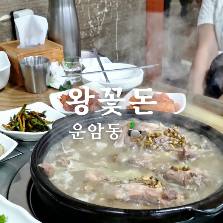  광주 백숙 로컬 맛집 운암동 왕꽃돈