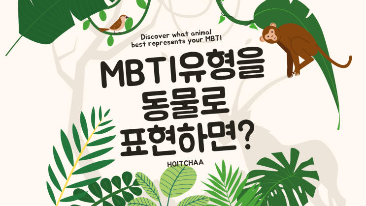  MBTI 탐구 - 각 유형을 동물로 표현하면?