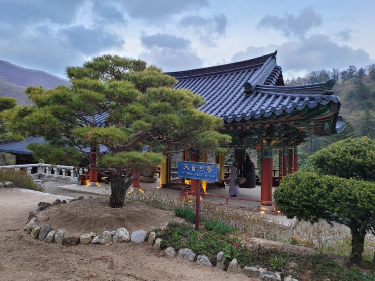 오대산 비로봉 등산